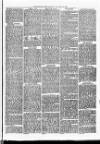 Christchurch Times Saturday 13 November 1869 Page 3