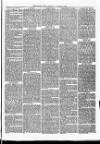 Christchurch Times Saturday 13 November 1869 Page 5