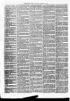 Christchurch Times Saturday 13 November 1869 Page 6