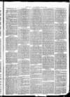 Christchurch Times Saturday 20 April 1872 Page 5