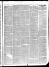 Christchurch Times Saturday 10 September 1870 Page 7