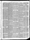 Christchurch Times Saturday 22 January 1870 Page 3