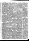 Christchurch Times Saturday 29 January 1870 Page 3