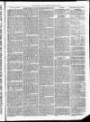 Christchurch Times Saturday 19 February 1870 Page 7