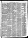 Christchurch Times Saturday 26 February 1870 Page 5
