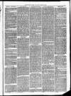 Christchurch Times Saturday 12 March 1870 Page 3