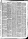 Christchurch Times Saturday 19 March 1870 Page 3