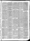 Christchurch Times Saturday 19 March 1870 Page 5