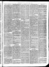 Christchurch Times Saturday 16 April 1870 Page 3