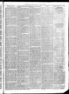 Christchurch Times Saturday 16 April 1870 Page 7