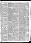 Christchurch Times Saturday 21 May 1870 Page 3