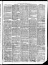 Christchurch Times Saturday 04 June 1870 Page 3