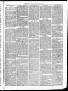 Christchurch Times Saturday 11 June 1870 Page 5