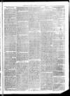 Christchurch Times Saturday 12 November 1870 Page 7