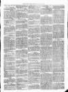 Christchurch Times Saturday 04 February 1871 Page 3