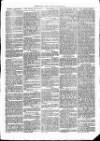 Christchurch Times Saturday 04 March 1871 Page 3