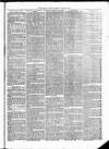 Christchurch Times Saturday 25 March 1871 Page 5