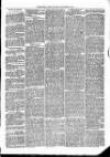 Christchurch Times Saturday 09 September 1871 Page 3