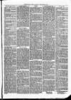 Christchurch Times Saturday 09 September 1871 Page 5