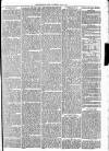 Christchurch Times Saturday 04 May 1872 Page 7