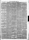 Christchurch Times Saturday 01 February 1873 Page 3