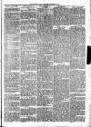 Christchurch Times Saturday 15 February 1873 Page 3
