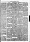 Christchurch Times Saturday 08 March 1873 Page 3