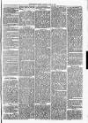 Christchurch Times Saturday 14 June 1873 Page 3