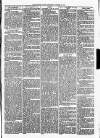 Christchurch Times Saturday 11 October 1873 Page 5