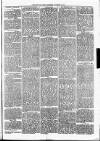 Christchurch Times Saturday 01 November 1873 Page 3