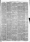 Christchurch Times Saturday 22 November 1873 Page 7
