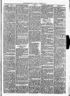 Christchurch Times Saturday 29 November 1873 Page 5