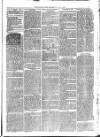 Christchurch Times Saturday 03 January 1874 Page 7