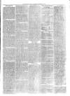Christchurch Times Saturday 17 October 1874 Page 7