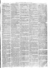 Christchurch Times Saturday 16 January 1875 Page 3