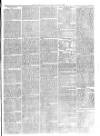 Christchurch Times Saturday 16 January 1875 Page 7