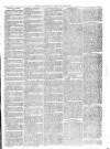 Christchurch Times Saturday 30 January 1875 Page 3