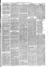 Christchurch Times Saturday 30 January 1875 Page 5