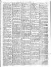 Christchurch Times Saturday 27 February 1875 Page 3