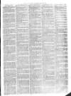 Christchurch Times Saturday 20 March 1875 Page 3