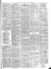 Christchurch Times Saturday 20 March 1875 Page 5