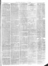 Christchurch Times Saturday 20 March 1875 Page 7