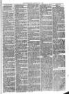 Christchurch Times Saturday 01 May 1875 Page 3