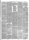 Christchurch Times Saturday 29 May 1875 Page 5