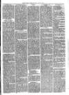 Christchurch Times Saturday 19 June 1875 Page 5