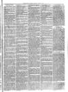 Christchurch Times Saturday 24 July 1875 Page 3