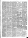 Christchurch Times Saturday 24 July 1875 Page 7