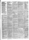 Christchurch Times Saturday 13 November 1875 Page 3