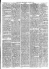 Christchurch Times Saturday 20 November 1875 Page 5