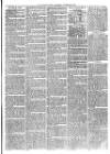 Christchurch Times Saturday 20 November 1875 Page 7